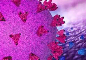 Covid-19:researchers identify a promising synthetic mini antibody! 