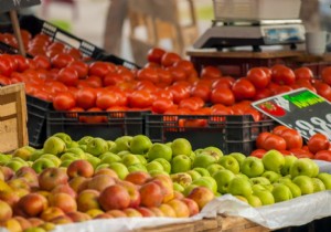 Food:how many GMOs are authorized in France? 