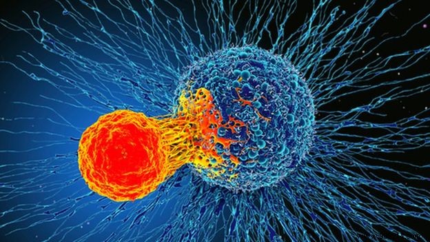 Cancer cells in a  dormant  state to survive chemotherapy 