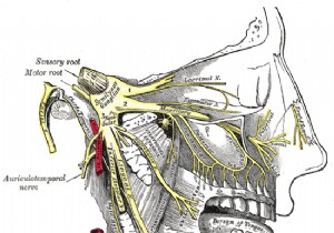 Cluster Headaches: The Rare Disease Inflicting Humanity s Worst Pain