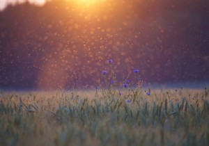 What if you could become invisible to mosquitoes? 