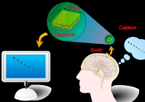 Bio-engineers pessimistic about the future of brain-machine interfaces 