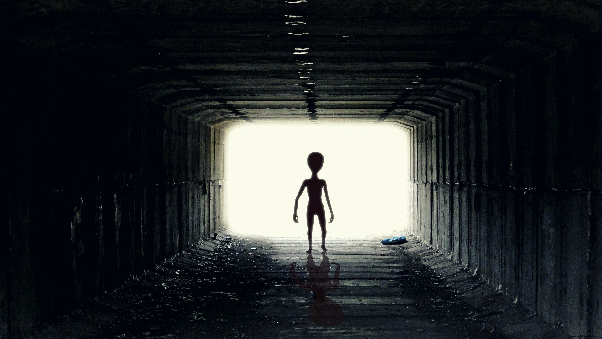 Lucid Dreams Could Explain Alien Abduction Stories 