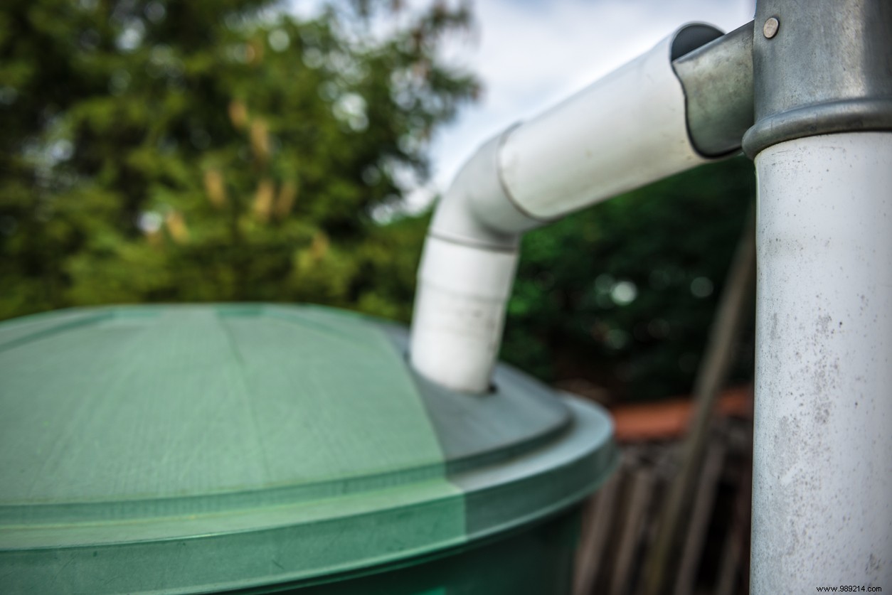 Rainwater can be collected, but is it really drinkable? 