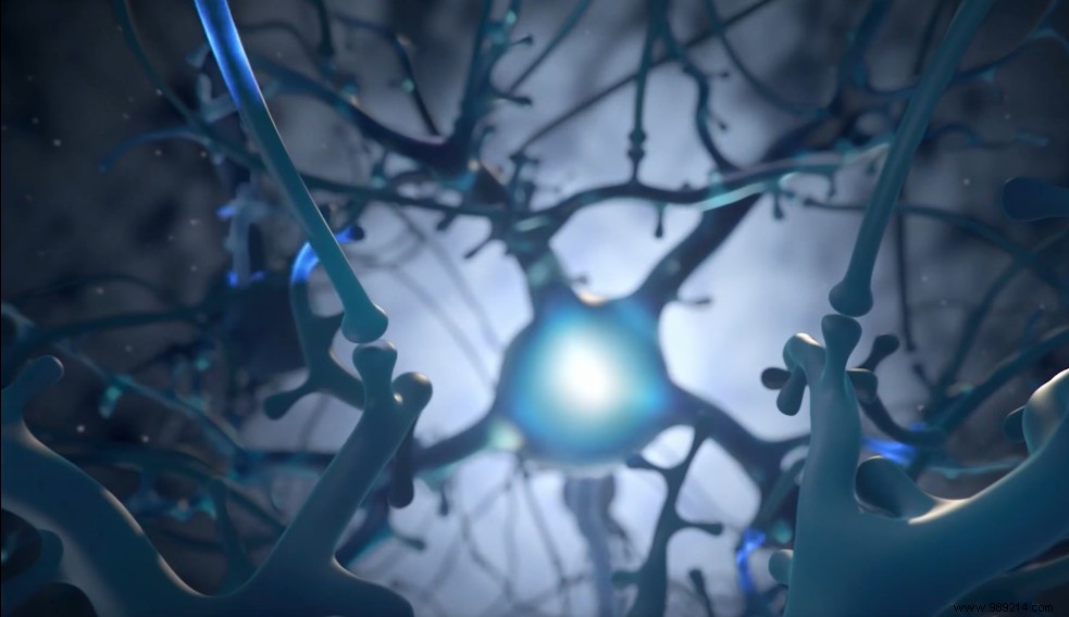 Neuralink:the first chips will soon be implanted in humans 