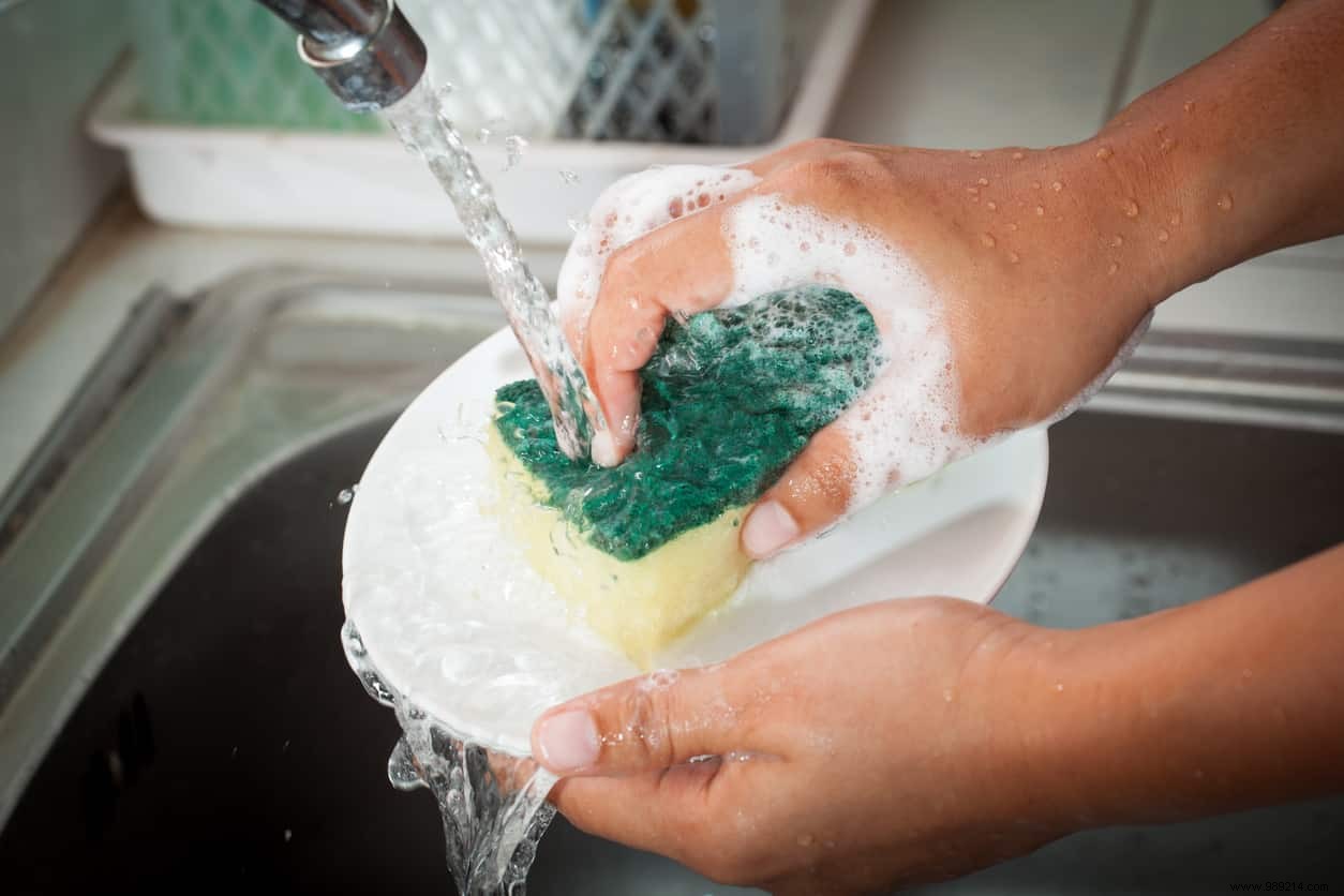 Why are our kitchen sponges such breeding grounds for bacteria? 