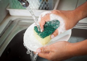 Why Kitchen Sponges Harbor More Bacteria Than Toilets: The Science Explained