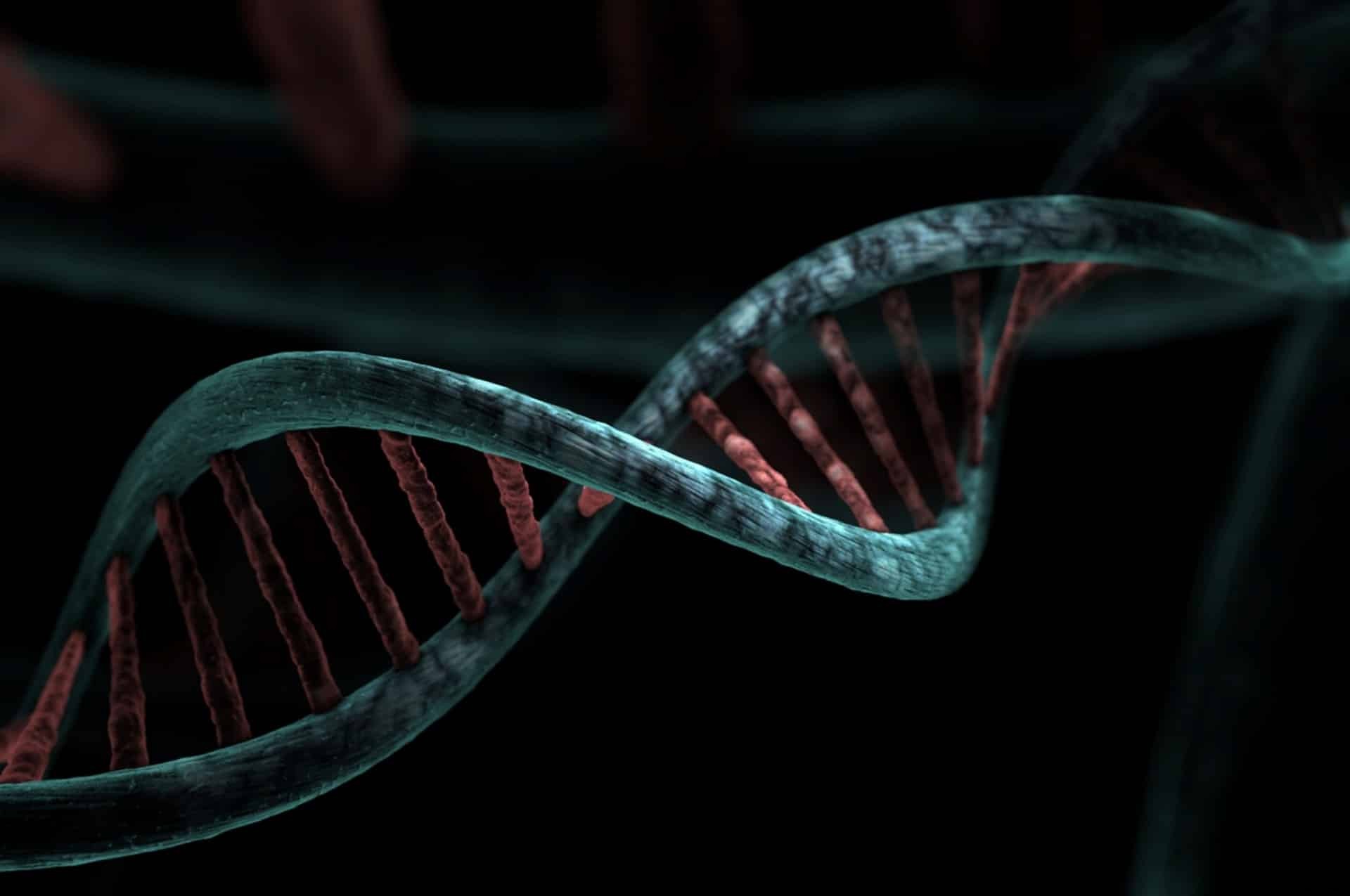The human genome is finally completely sequenced 