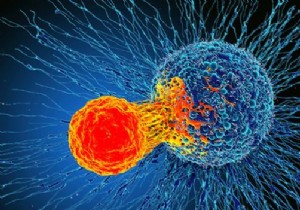 First Patient Dosed in Phase I Trial of Oncolytic Virus CF33-hNIS for Advanced Solid Tumors