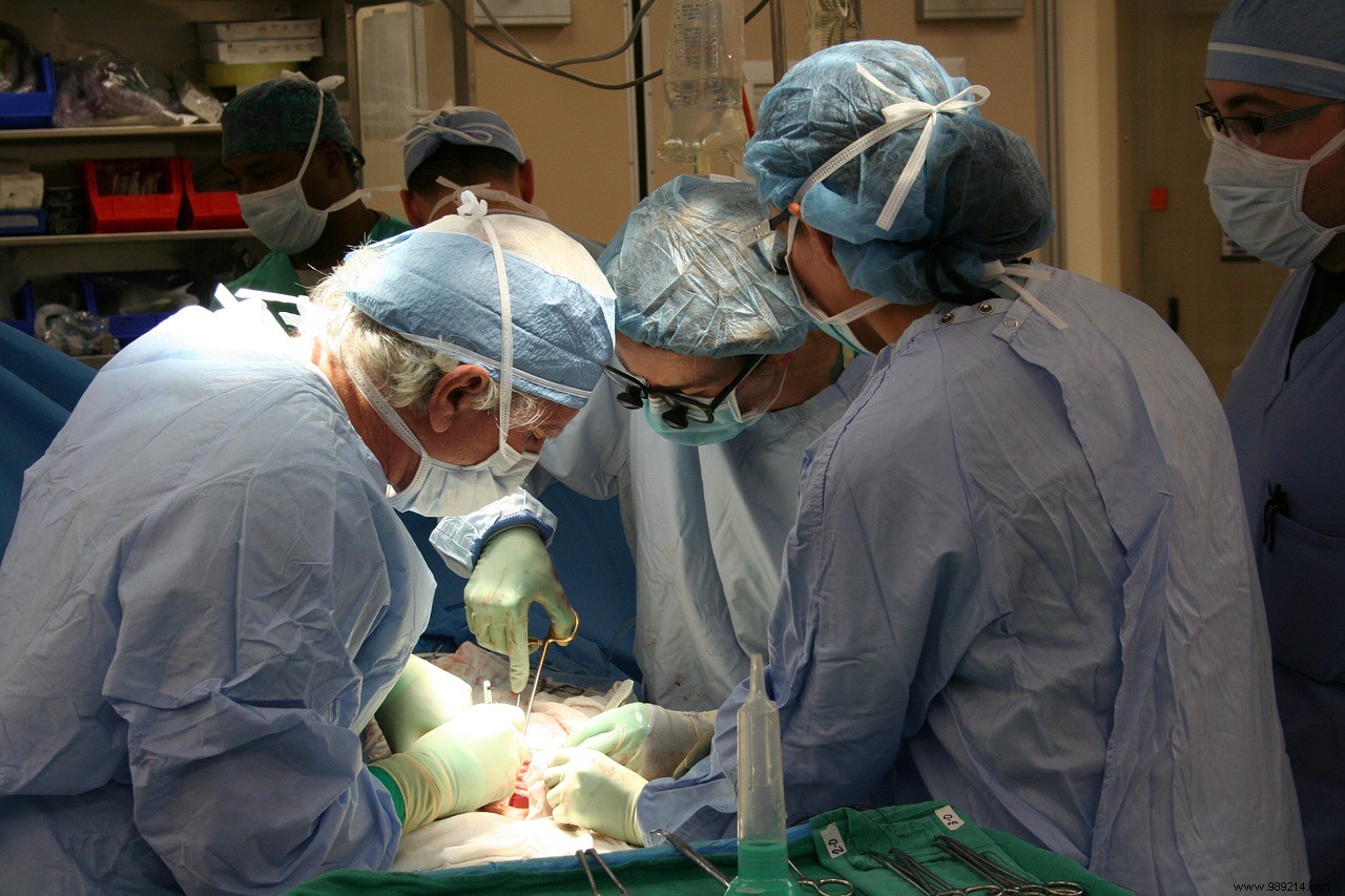 Ingenious procedure enables rejection-free kidney transplants 