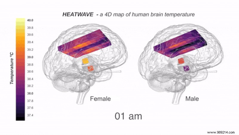 The human brain is much hotter than we thought 