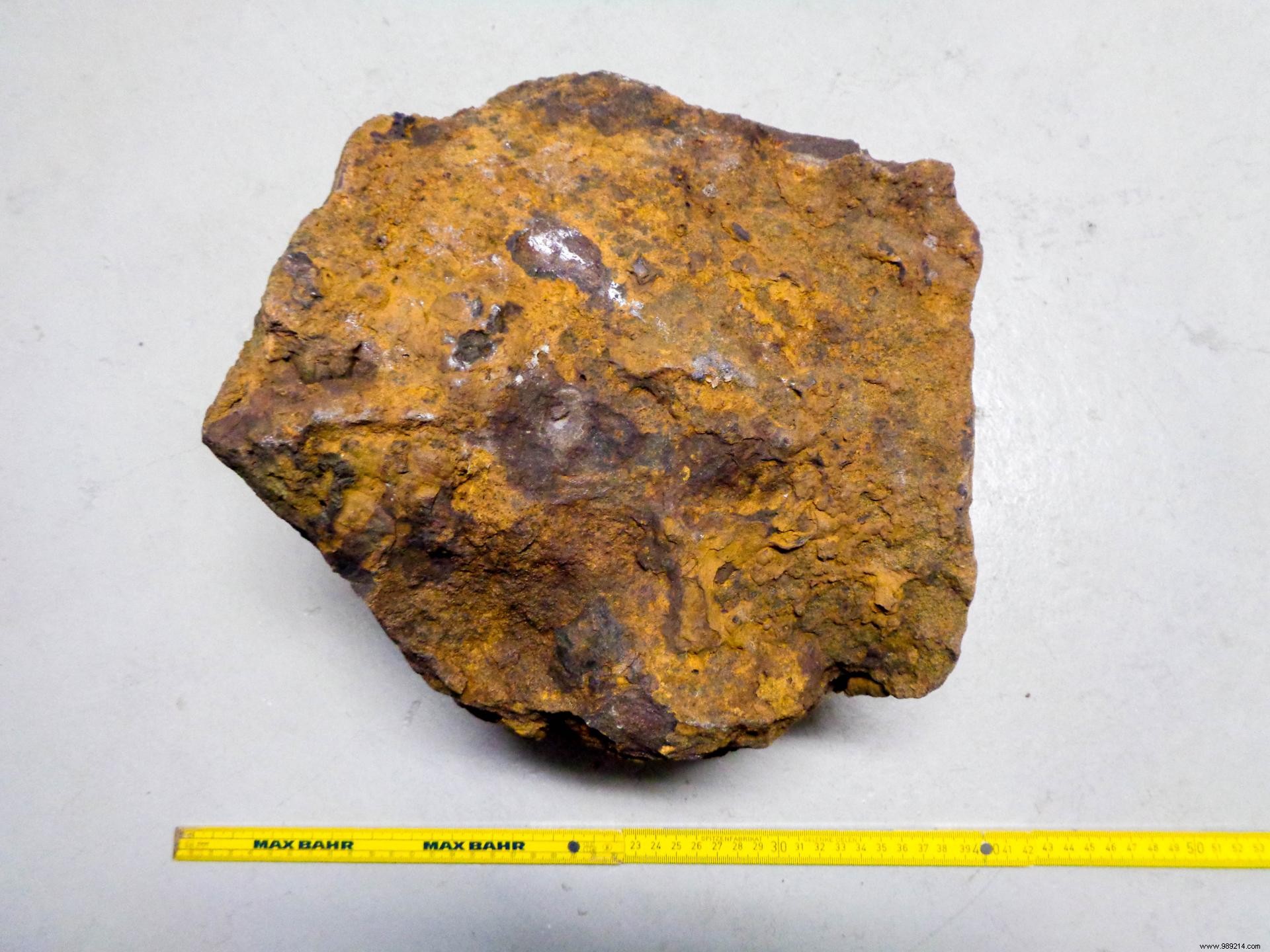 This German discovers a 30 kg meteorite in his garden 