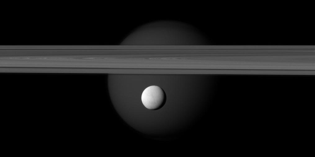 There is fresh ice north of Saturn s moon Enceladus 