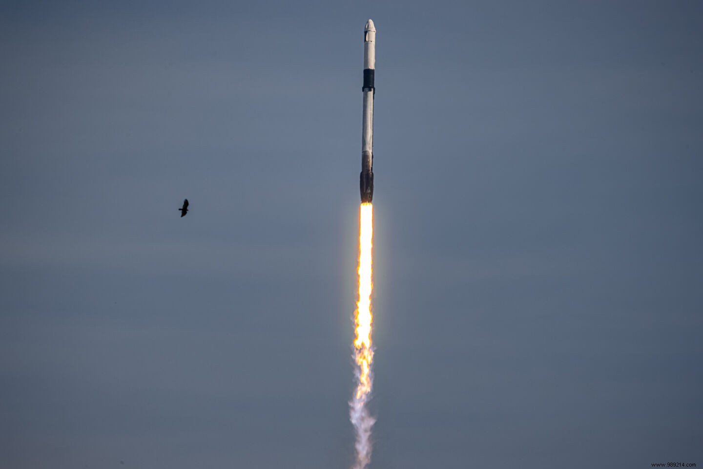 Despite the pandemic, SpaceX smashes its annual launch record 
