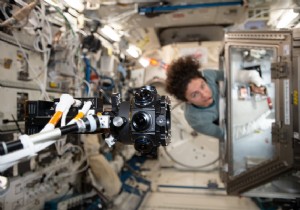 Looking back on a busy year of research on board the ISS 