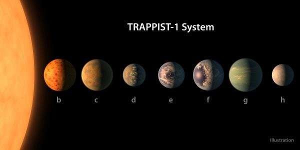 The seven planets of the TRAPPIST-1 system have similar compositions 