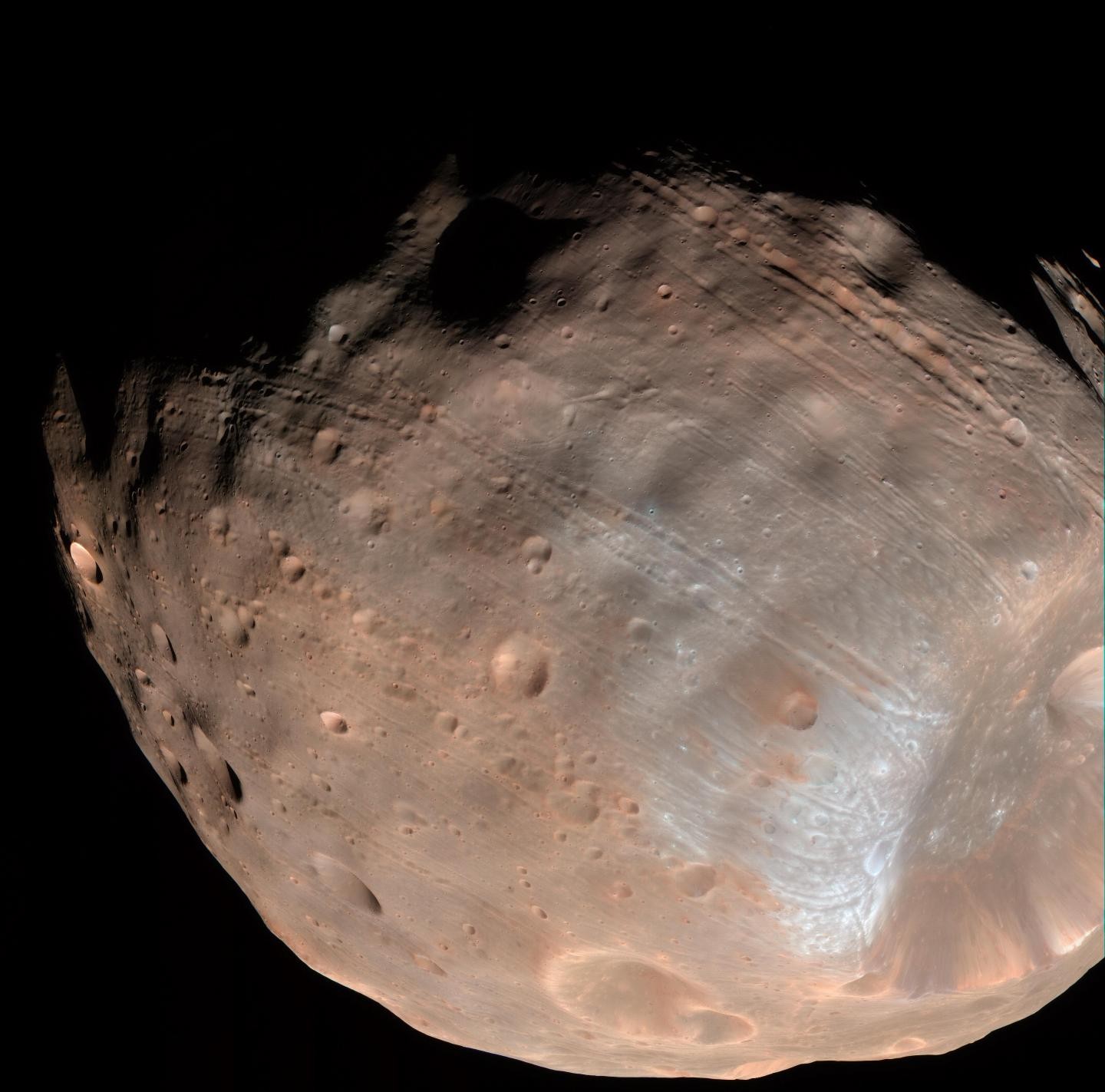 Martian moons Phobos and Deimos have a common ancestor 
