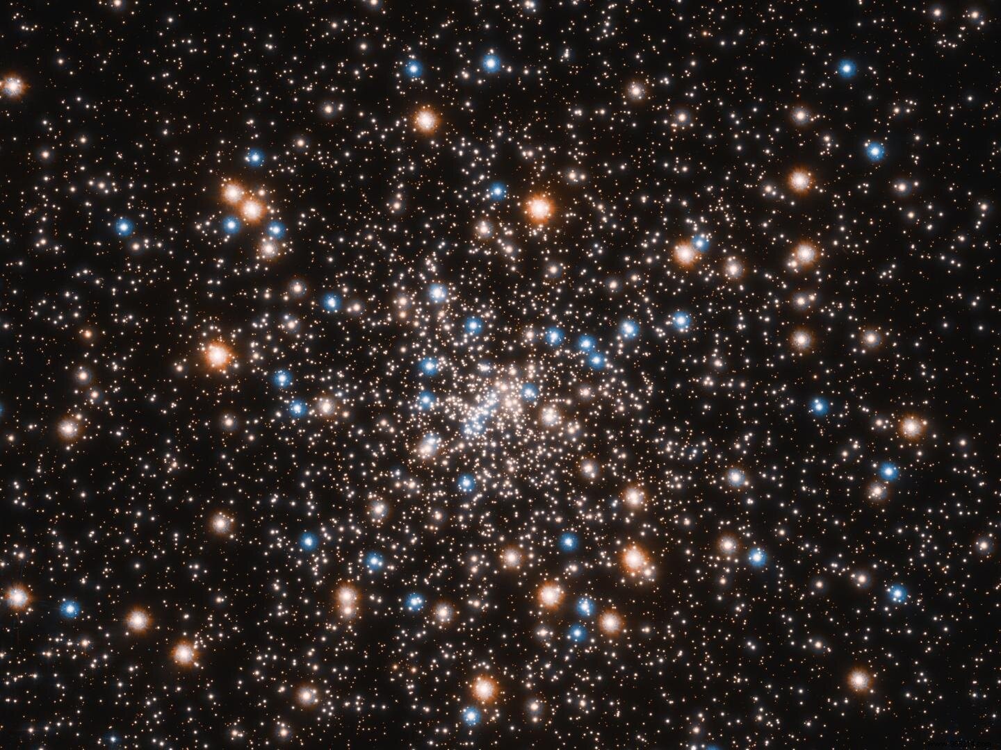 Discovery:a cluster of black holes at the heart of a globular cluster 