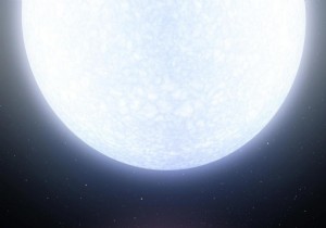 A giant planet orbiting the famous star Vega? 