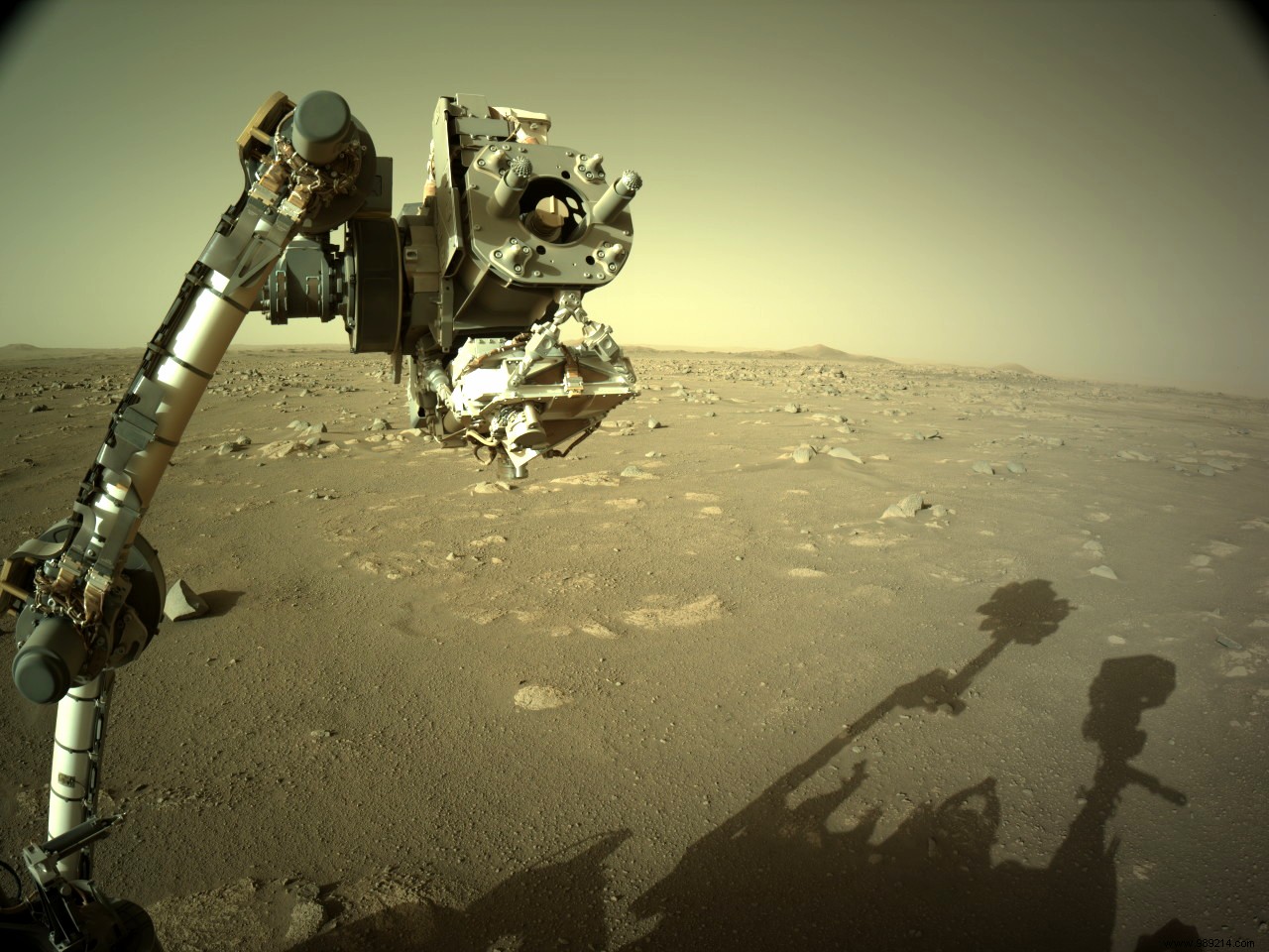Why is the Perseverance rover unable to find life on Mars on its own? 