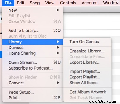 How to get rid of duplicate files in iTunes