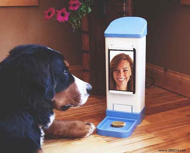 Best Automatic Pet Feeders