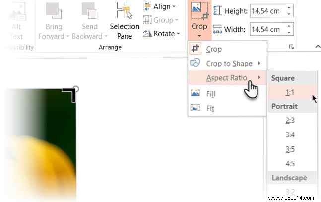 3 ways to crop a picture using Microsoft PowerPoint