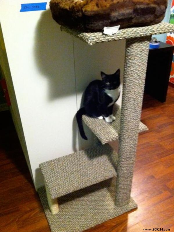 How to Build a Sisal and Rug Cat Tree