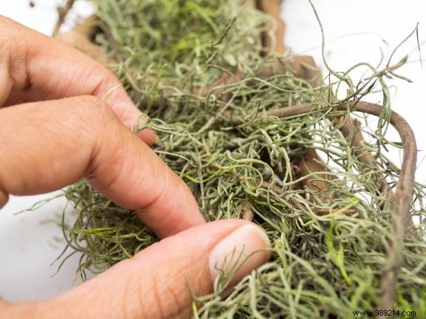 How to Make a Fall Moss Wreath