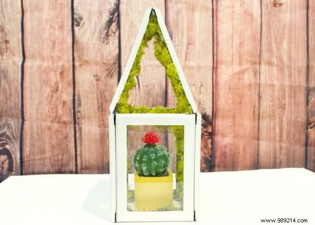 How to make a mini greenhouse using photo frames