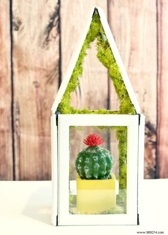 How to make a mini greenhouse using photo frames