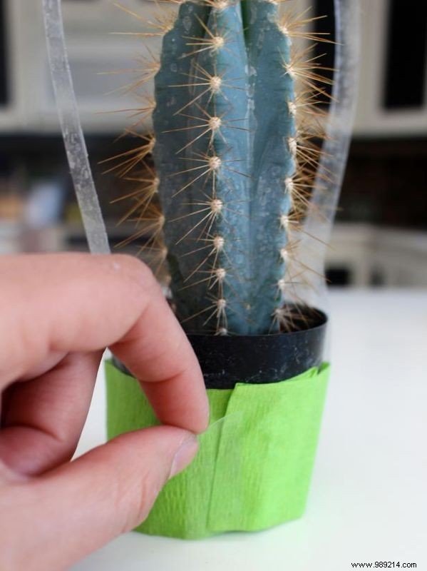 How to make cute mini cactus party favors