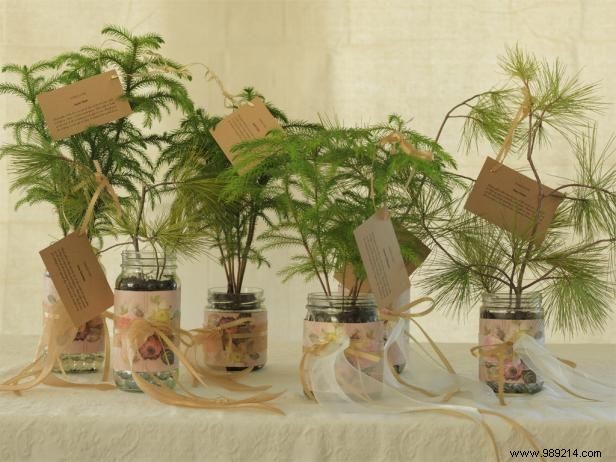 How to Make Evergreen Wedding Favors and Table Settings