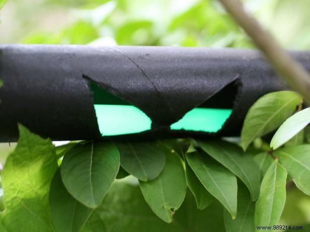 How to make Halloween ghost eyes hide in bushes