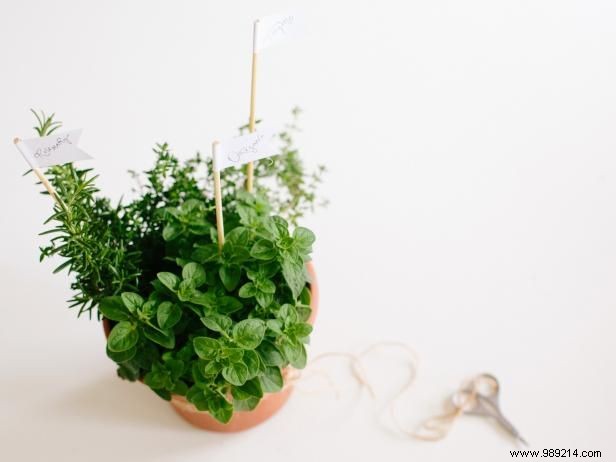 How to Make Herb Centerpieces and Party Favors