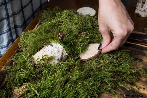 How to make wall art with moss and wood