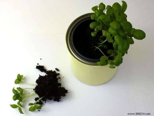 How to turn a paint can into a garden pot